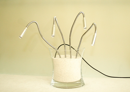 Plant Lamp