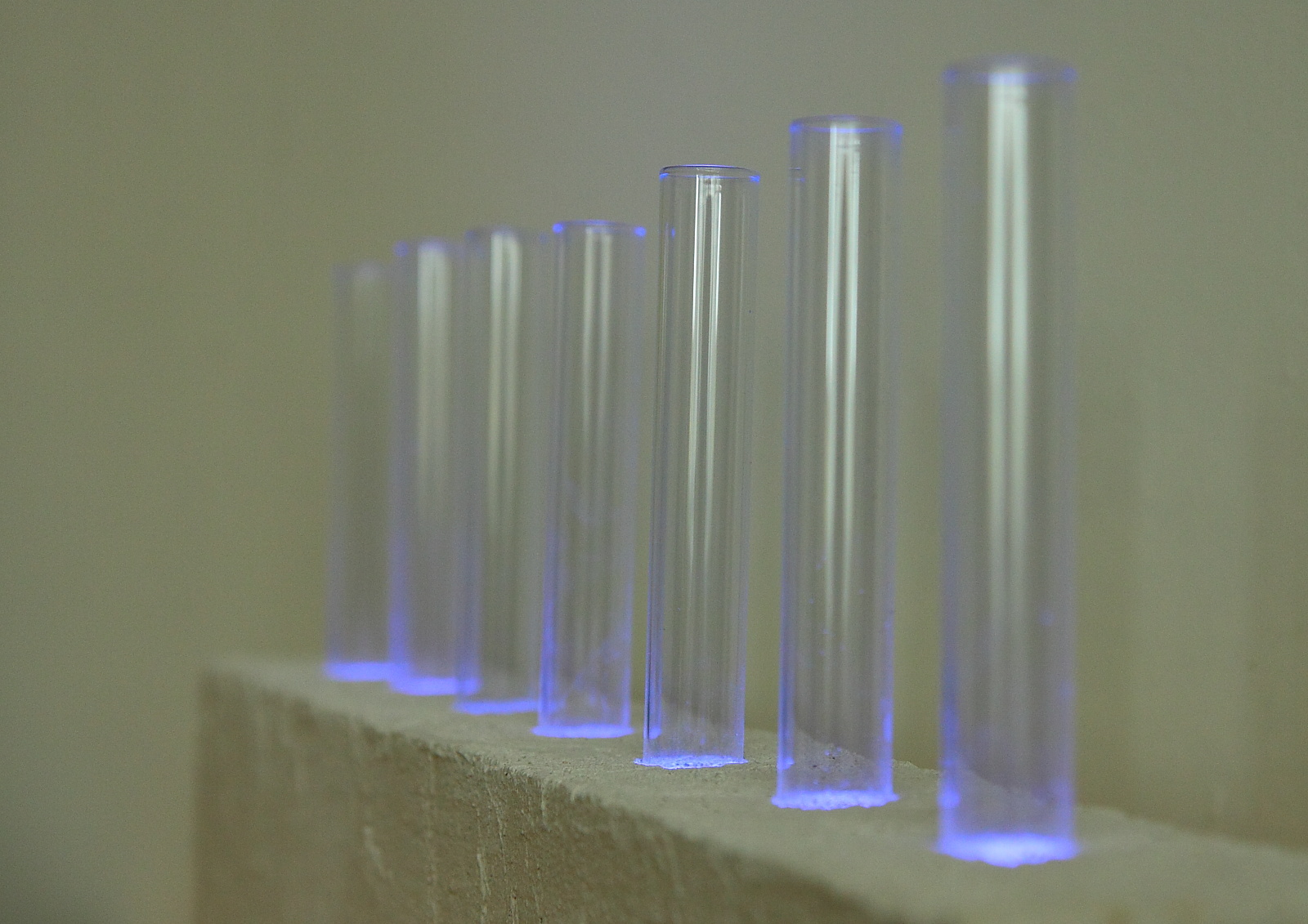 Bluewhite