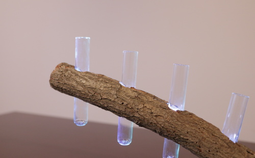 Branch