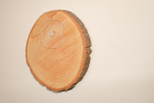 Tree heart