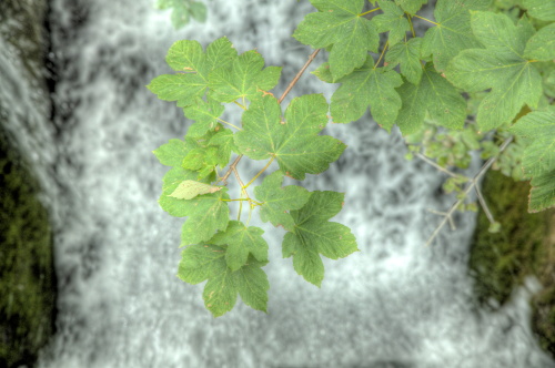 Nature