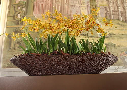Planting bowls